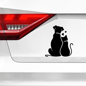 Perro y gato de espaldas